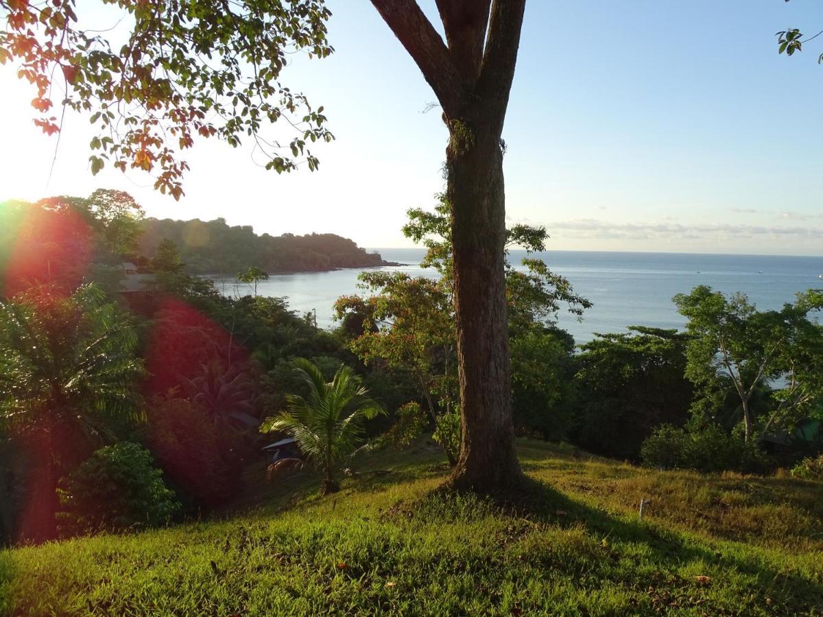 JADE MAR CABINS, COSTA RICA/DRAKE BAY: 185 fotos, comparação de